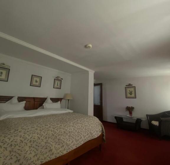 اتاق استاندارد با تخت بزرگ, Apartamente Arcul De Triumf