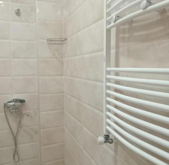 اتاق استاندارد, New Saburtalo Star