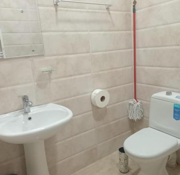 اتاق استاندارد, New Saburtalo Star