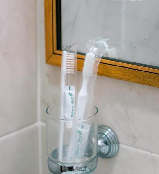 带大床的豪华间, Jsk Mantanani Island Resorts