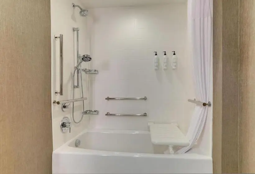 スタンダードシティビュールーム, Springhill Suites By Marriott Cheraw