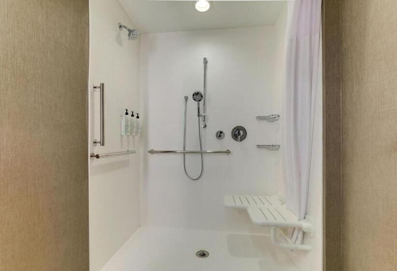 スタンダードシティビュールーム, Springhill Suites By Marriott Cheraw