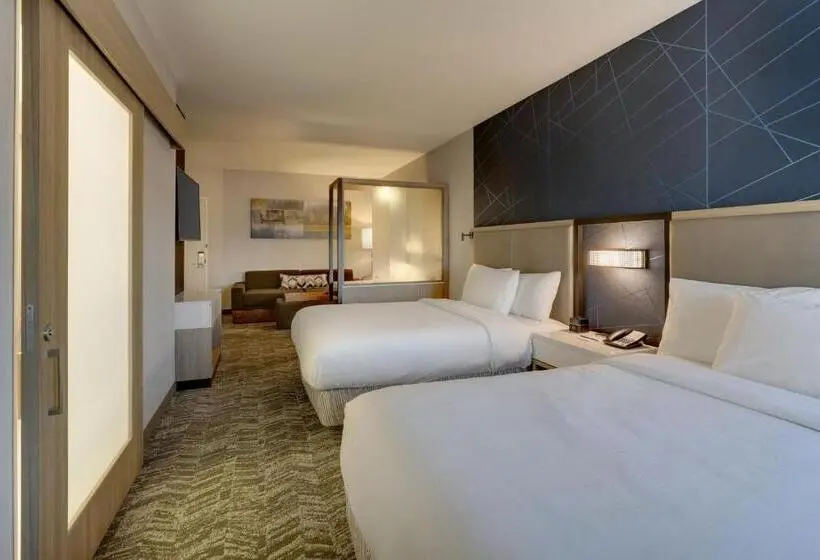 スタンダードシティビュールーム, Springhill Suites By Marriott Cheraw