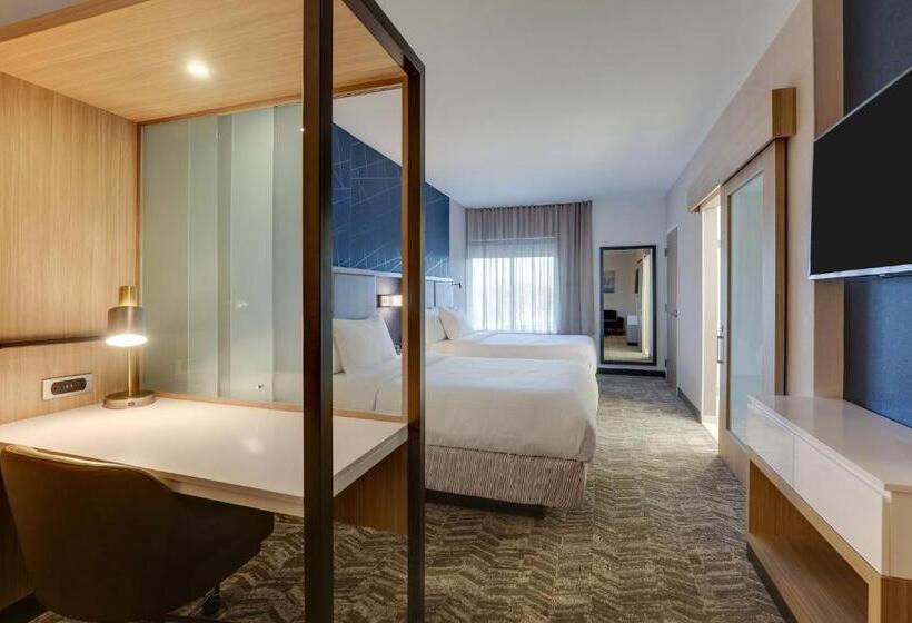 スタンダードシティビュールーム, Springhill Suites By Marriott Cheraw