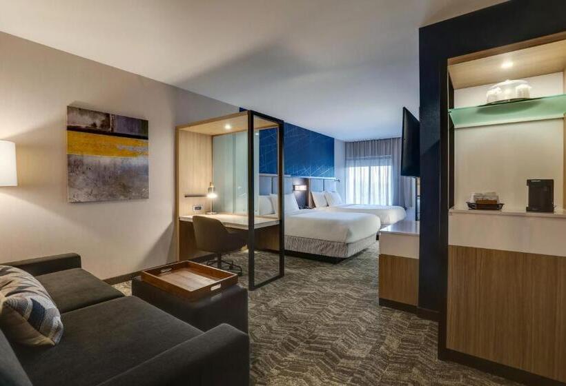 スタンダードシティビュールーム, Springhill Suites By Marriott Cheraw