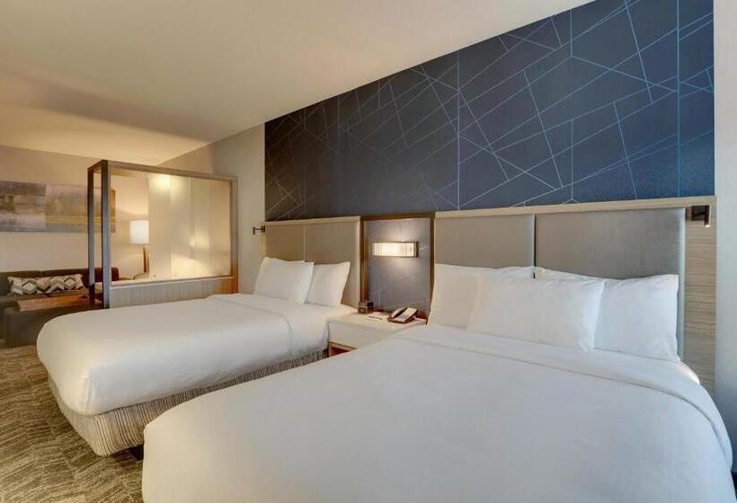 Utcára Néző Standard Szoba, Springhill Suites By Marriott Cheraw