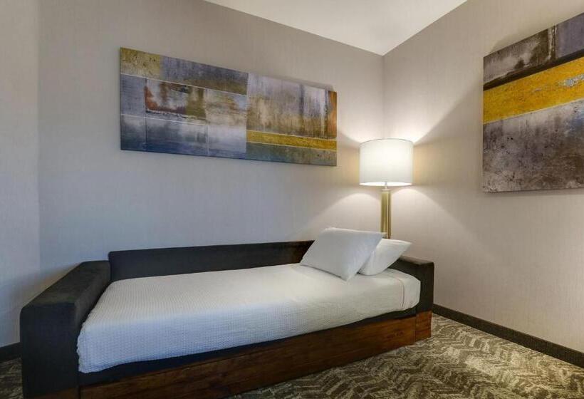 キングサイズベッドのスタンダードルーム, Springhill Suites By Marriott Cheraw