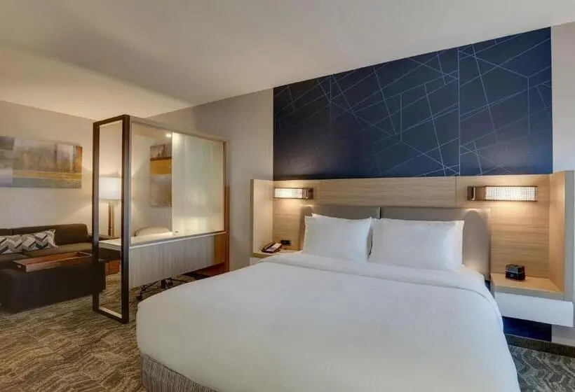 キングサイズベッドのスタンダードルーム, Springhill Suites By Marriott Cheraw