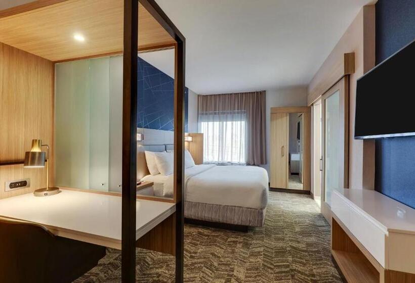 キングサイズベッドのスタンダードルーム, Springhill Suites By Marriott Cheraw