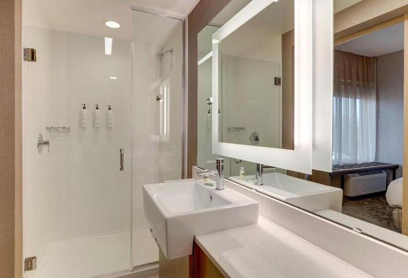 キングサイズベッドのスタンダードルーム, Springhill Suites By Marriott Cheraw