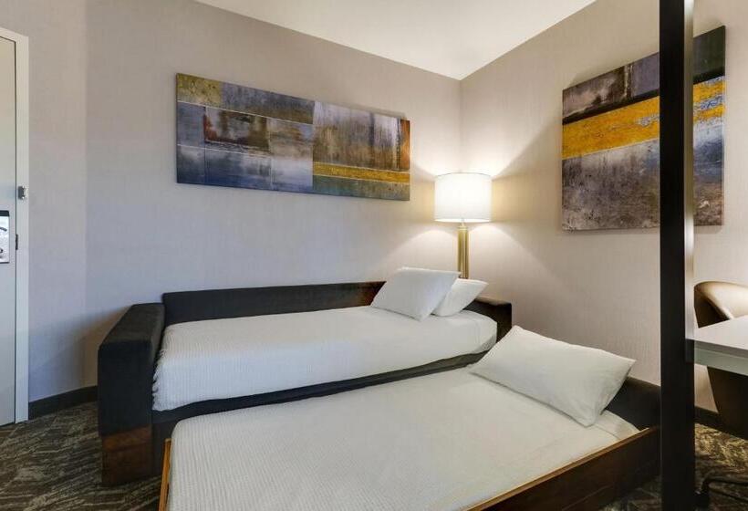 キングサイズベッドのスタンダードルーム, Springhill Suites By Marriott Cheraw