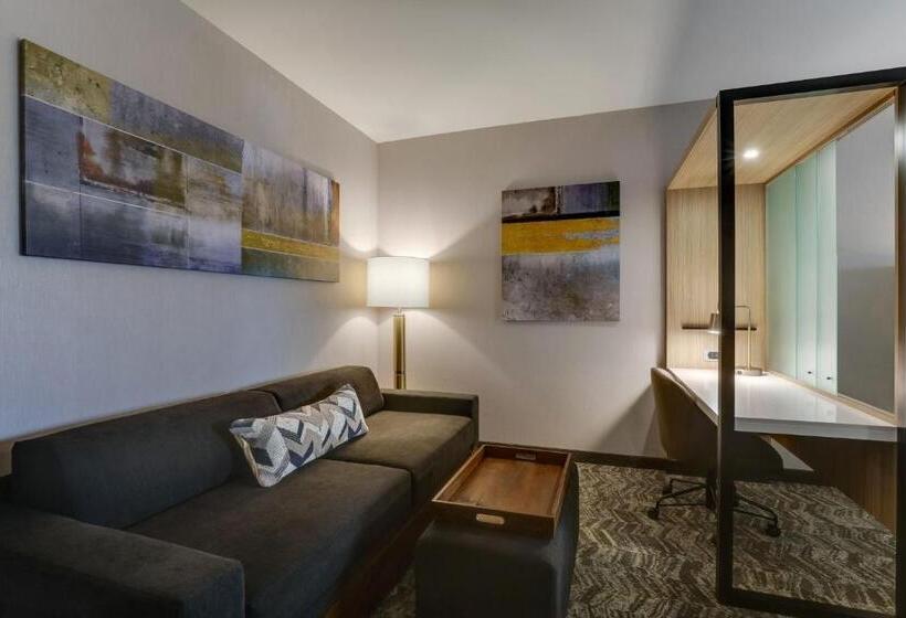 キングサイズベッドのスタンダードルーム, Springhill Suites By Marriott Cheraw