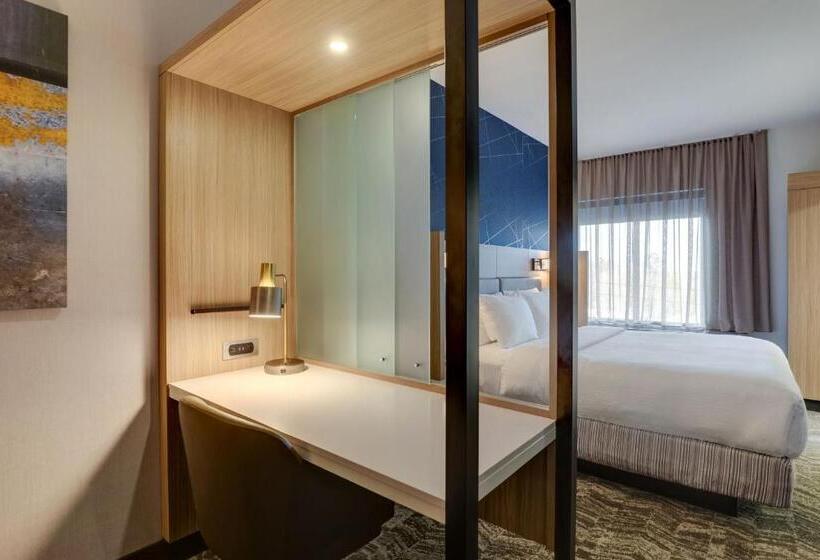 キングサイズベッドのスタンダードルーム, Springhill Suites By Marriott Cheraw