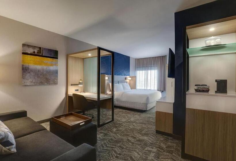 Standard Szoba King Size Bed, Springhill Suites By Marriott Cheraw