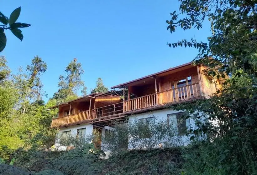 آپارتمان 1 خوابه با بالکن, Sendero De Las Aves