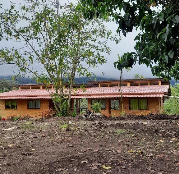 Budget Værelse, Sendero De Las Aves