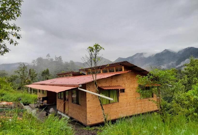 Budget Værelse, Sendero De Las Aves