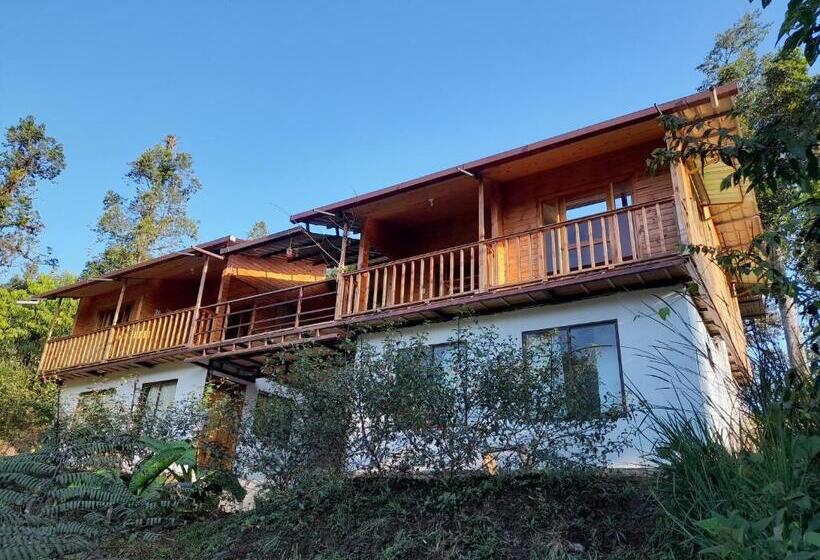 Budget Værelse, Sendero De Las Aves