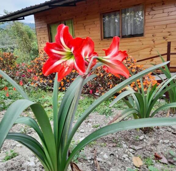 Economy Triple Room, Sendero De Las Aves