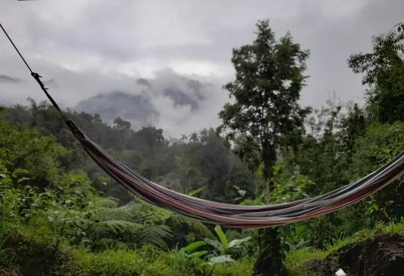 Economy Triple Room, Sendero De Las Aves