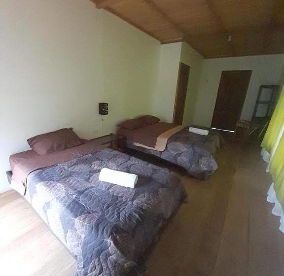 Standard Værelse, Sendero De Las Aves