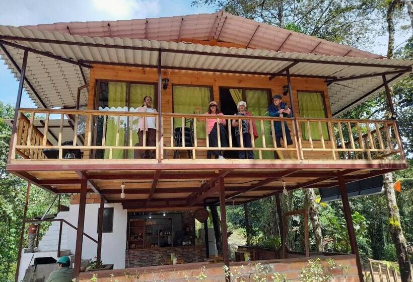 Standard Værelse, Sendero De Las Aves