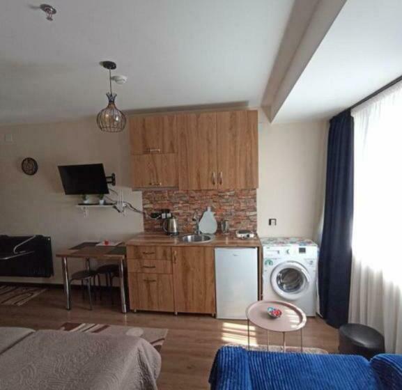استودیوی استاندارد, Sunny Studio In Gudauri