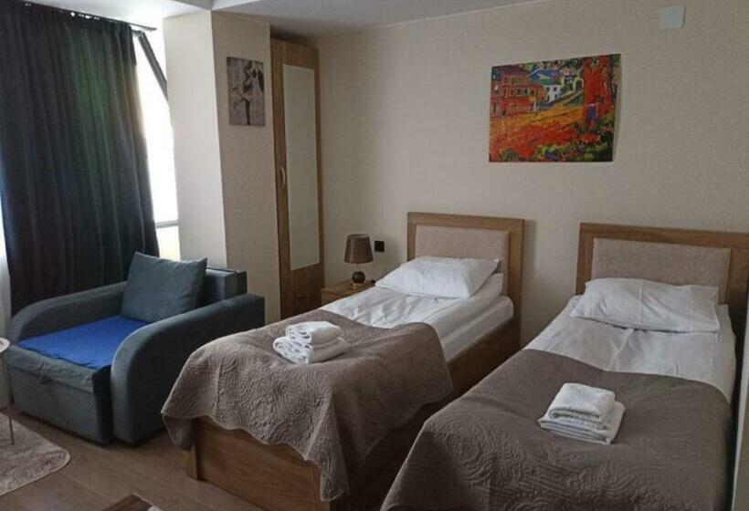 استودیوی استاندارد, Sunny Studio In Gudauri