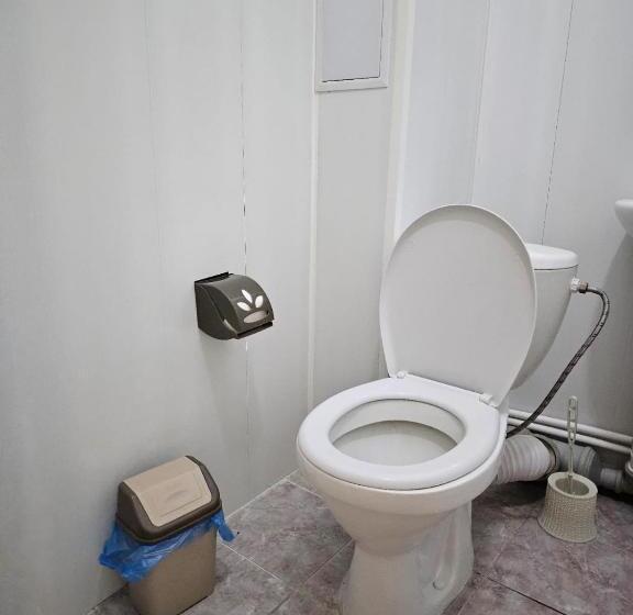 اتاق استاندارد, Kamkor