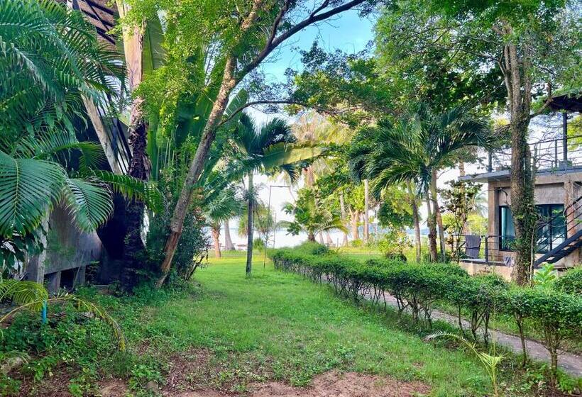 Büyük Çift Kişilik Yataklı Standart Oda, Kohmak Homehug&beachclub