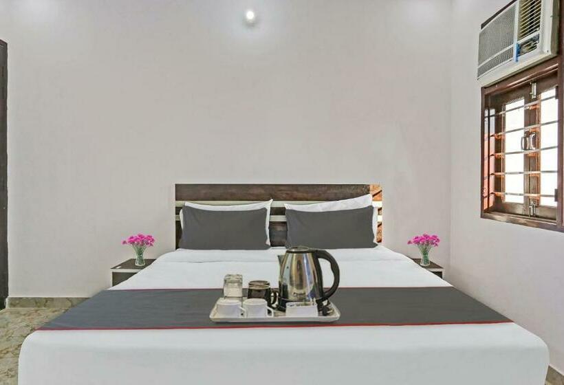 חדר קלאסי לשלושה, The Royal Fern