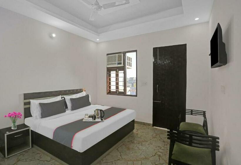 חדר קלאסי לשלושה, The Royal Fern