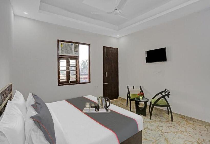 חדר קלאסי לשלושה, The Royal Fern