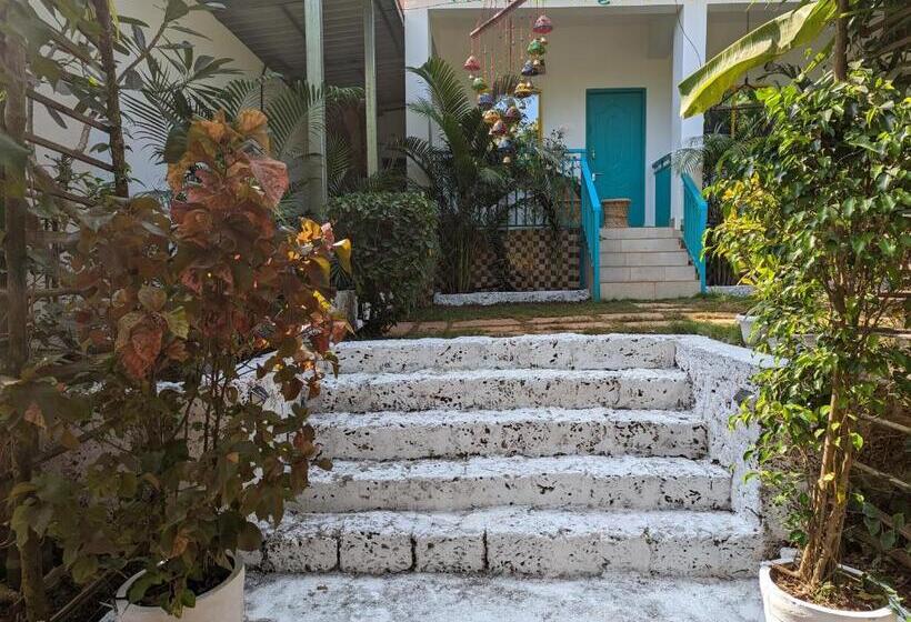 Studio Deluxe, Hippie Paws