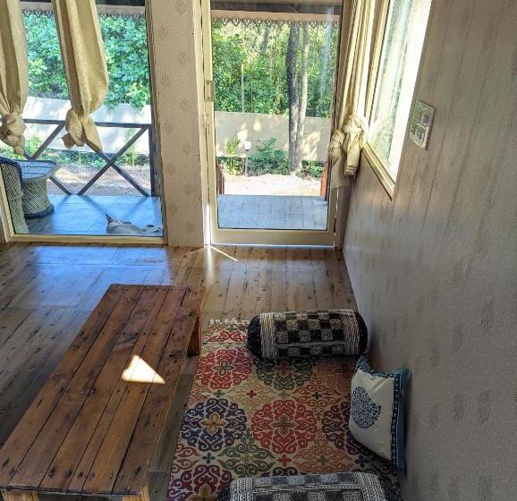 Suite Pat King, Hippie Paws