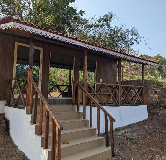 Suite Pat King, Hippie Paws