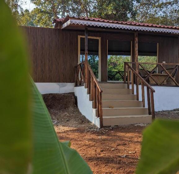 Suite Pat King, Hippie Paws