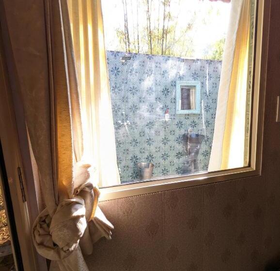 Suite Pat King, Hippie Paws