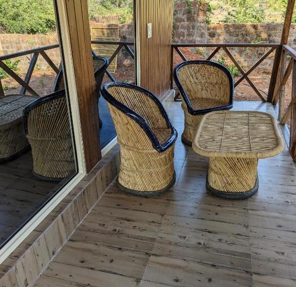 Suite Pat King, Hippie Paws