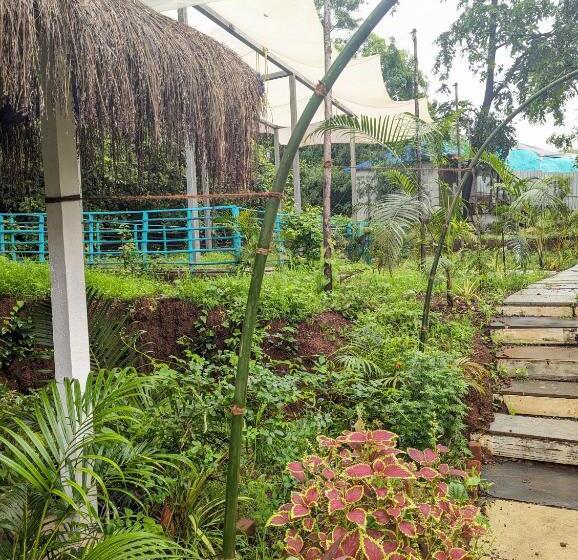 Studio Deluxe, Hippie Paws