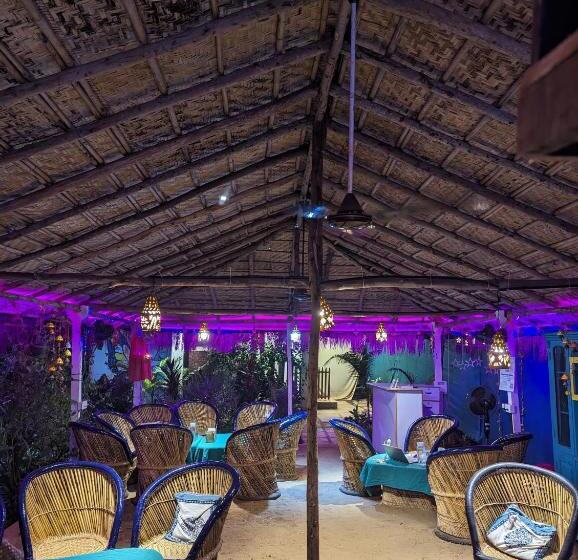 Studio Deluxe, Hippie Paws