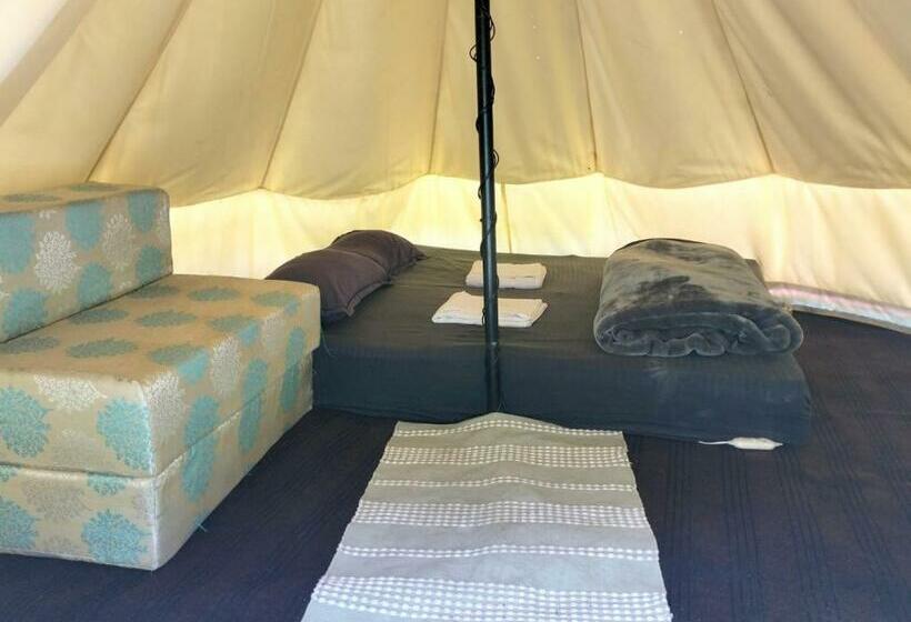 スタンダードトリプルルーム, Aloha Riverside