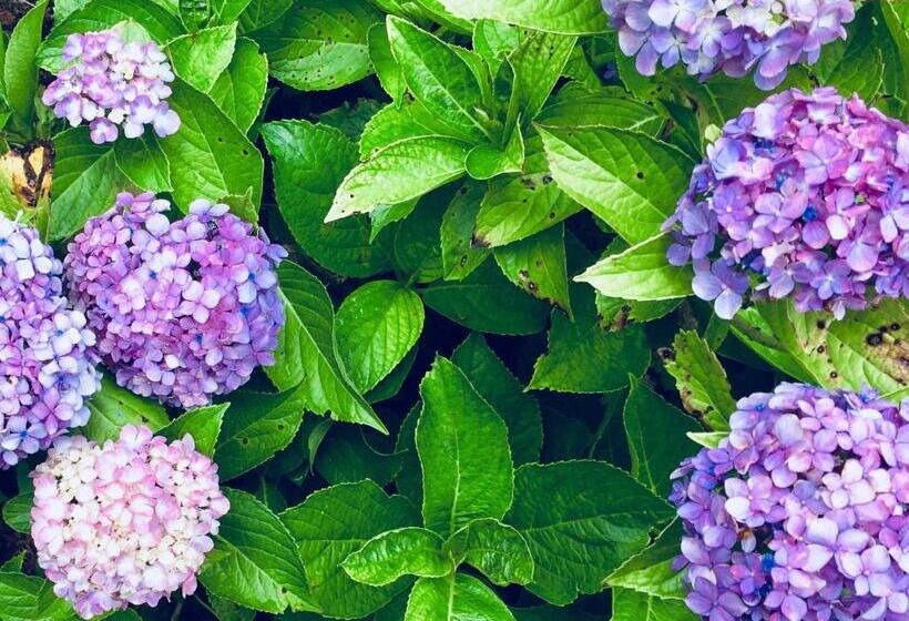 스탠다드 룸 킹사이즈 침대, Luther Ogden Inn