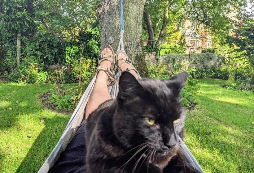 シングルデラックスルーム, Thornley House