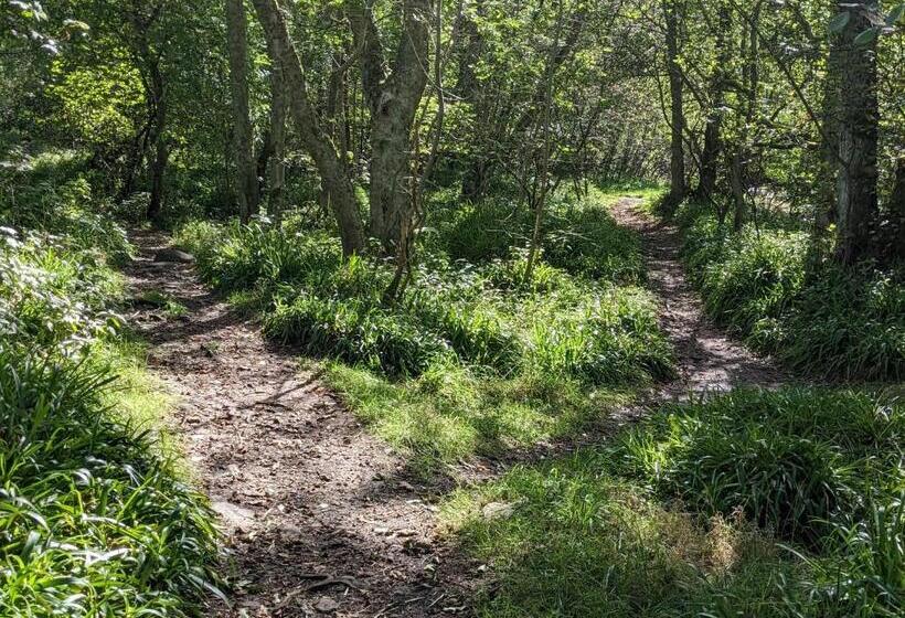 シングルデラックスルーム, Thornley House