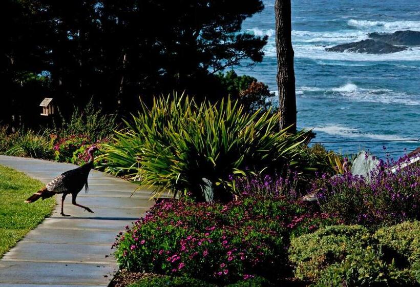 바다 전망 스탠다드 방갈로, Cottages At Little River Cove