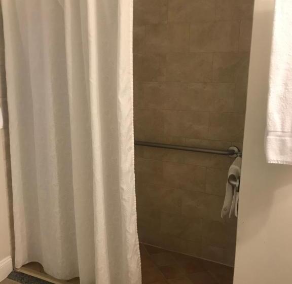 Люкс Адаптированный для Инвалидов, Crescent Suites