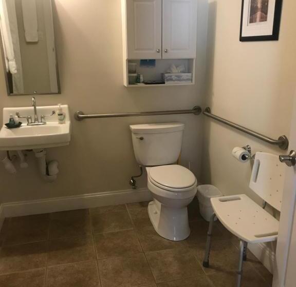 Люкс Адаптированный для Инвалидов, Crescent Suites