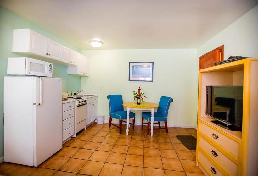 غرفة قياسية, Leucadia Beach Inn