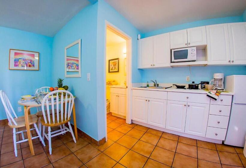 غرفة قياسية, Leucadia Beach Inn